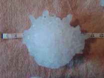 A record-setting hailstone that fell in Vivian, South Dakota on July 23, 2010. The hailstone broke the United States records for largest hailstone by diameter (8 inches) and weight (1 pound 15 ounces). (NWS via Wikipedia) World Record Hailstone