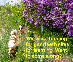 We're out hunting for good sites for learning! Want to come along? Dogs walking past lilacs in bloom, caragana blooming in background.